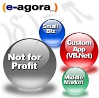 Web Site Solutions Small Business, Associations and Middle Market Companies